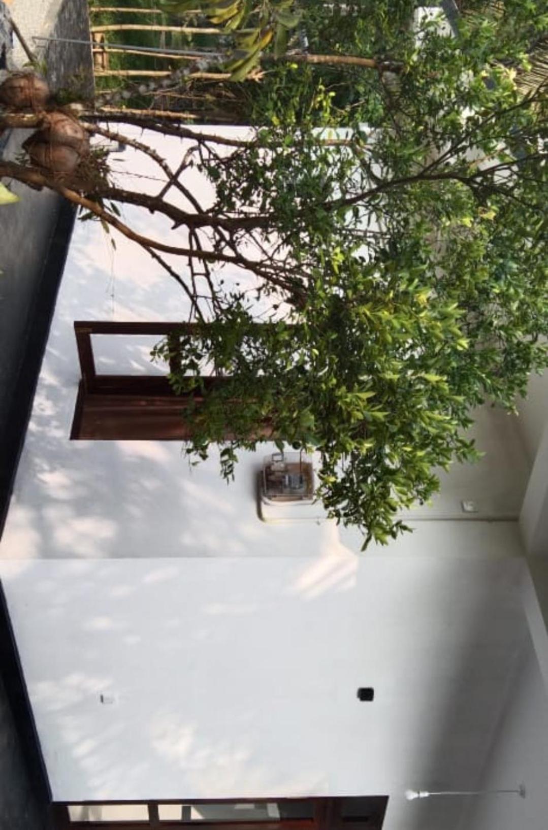 Villa Elegant - Weligama Eksteriør bilde
